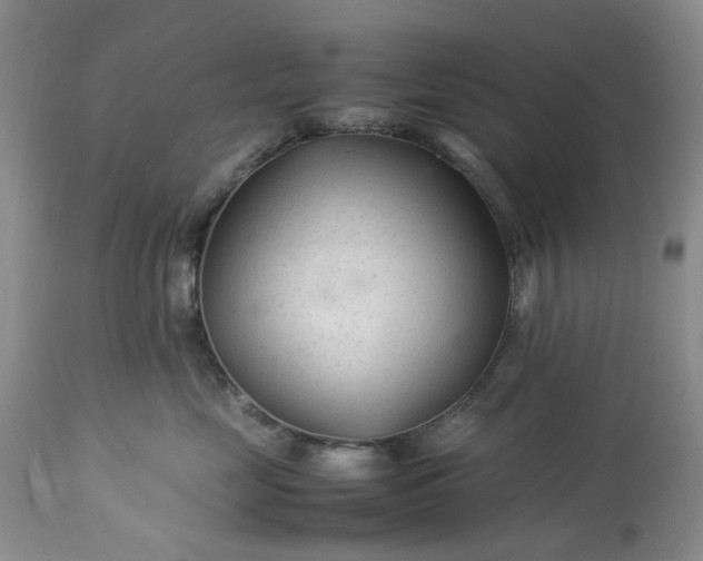 X0000113560669200910021556