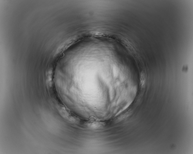 X0000113560670200910021556