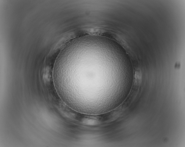 X0000113560671200910021556