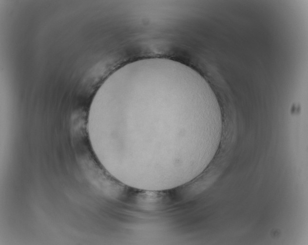 X0000113560672200910021556