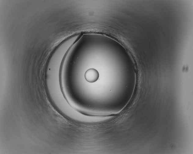 X0000113560673200910021555