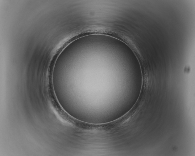 X0000113560674200910021555