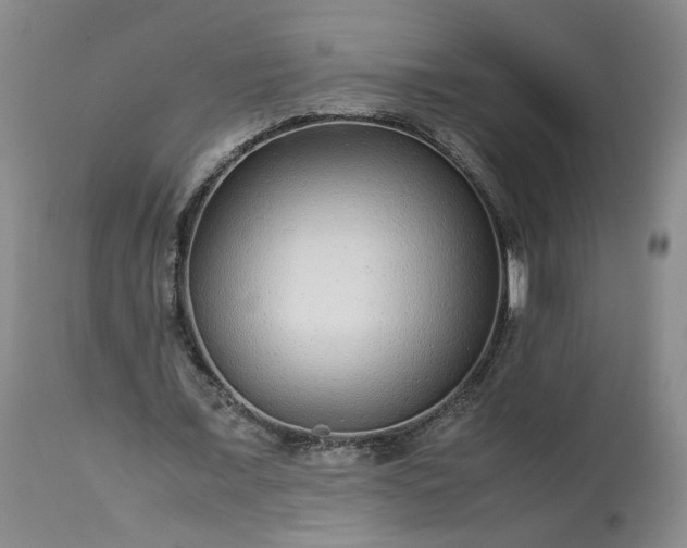 X0000113560675200910021555