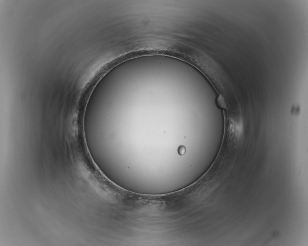 X0000113560676200910021555