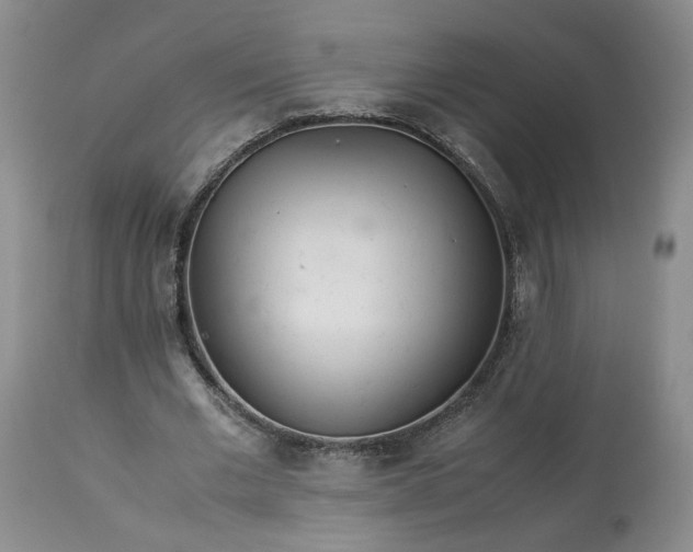 X0000113560677200910021555