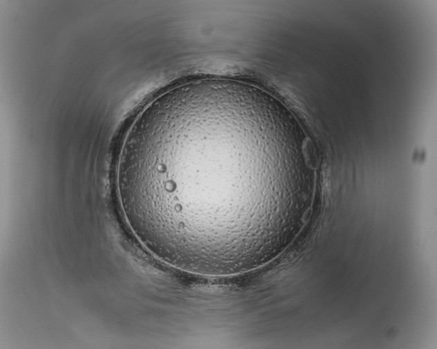 X0000113560679200910021555