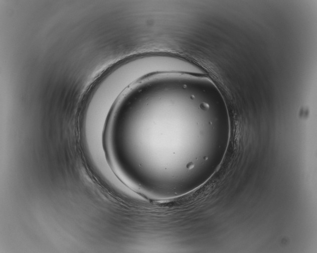 X0000113560680200910021555
