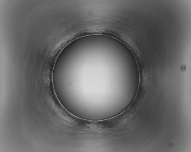 X0000113560681200910021555
