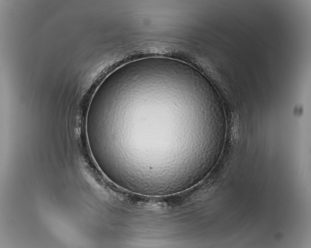 X0000113560683200910021555