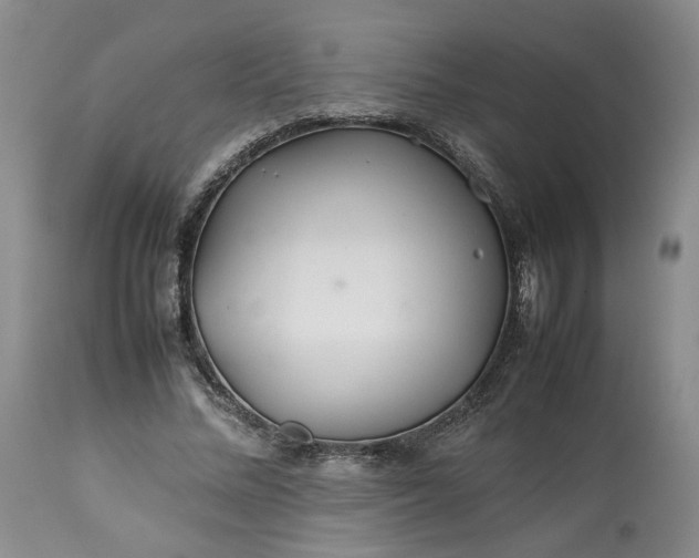 X0000113560684200910021555