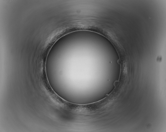 X0000113560685200910021555