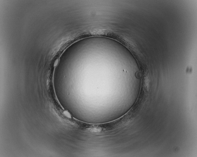 X0000113560687200910021555