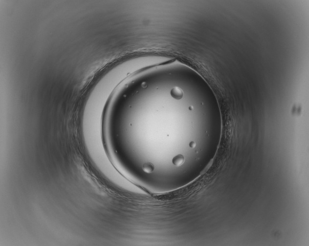 X0000113560688200910021555
