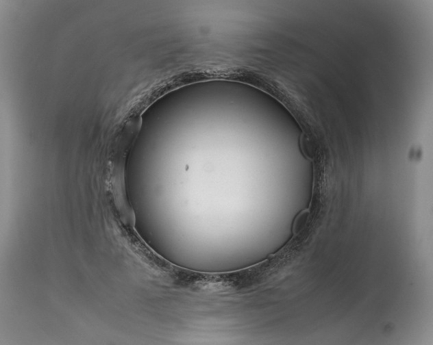 X0000113560689200910021555