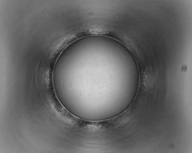 X0000113560690200910021555