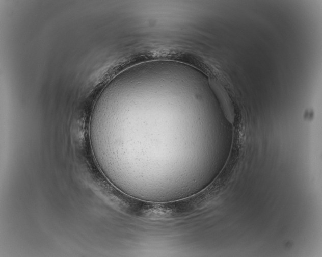 X0000113560691200910021555