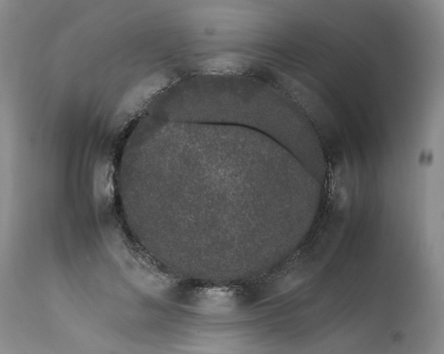 X0000113560692200910021555
