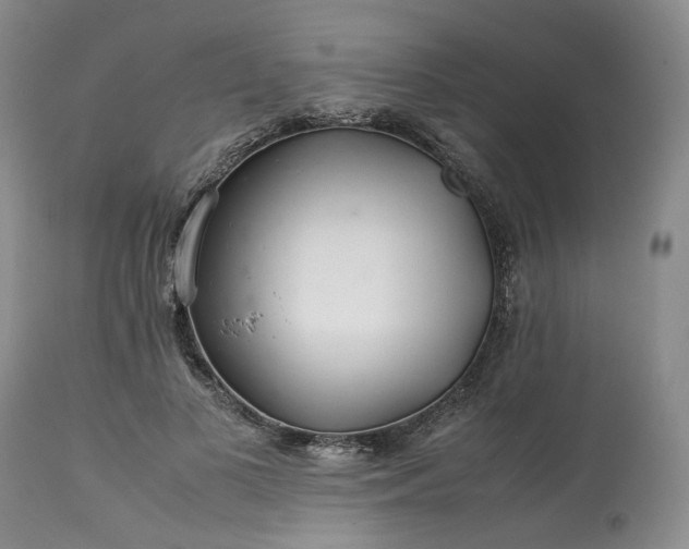 X0000113560693200910021555