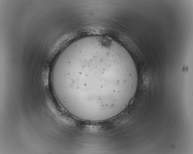 X0000113560694200910021555