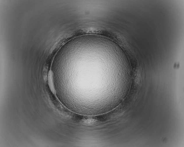 X0000113560695200910021555