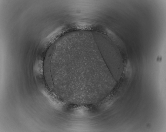 X0000113560696200910021555