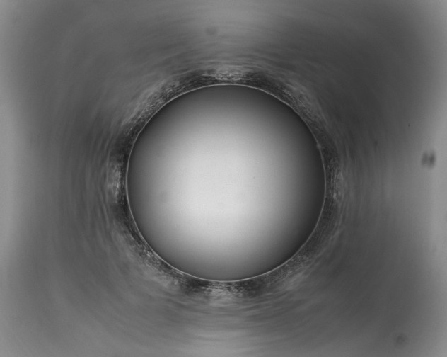 X0000113560697200910021555