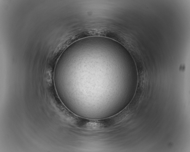 X0000113560699200910021555