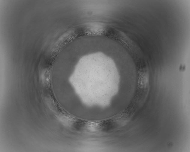 X0000113560701200910021555