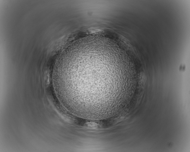 X0000113560703200910021555
