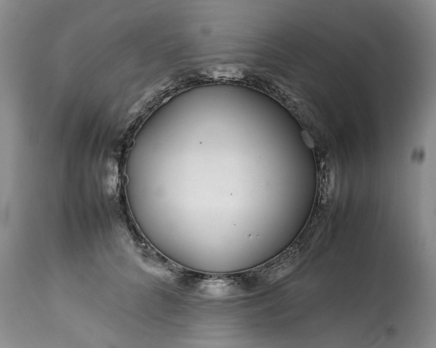 X0000113560704200910021555