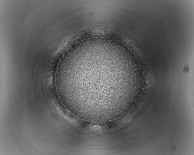 X0000113560706200910021555