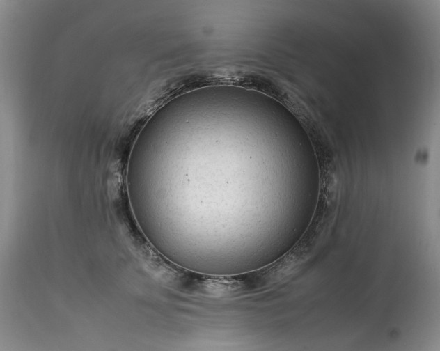 X0000113560707200910021555
