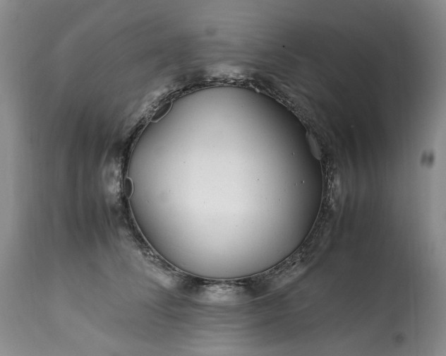 X0000113560708200910021555