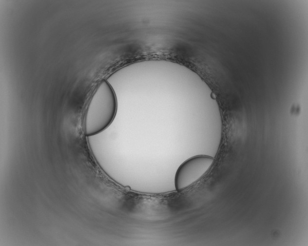 X0000113560709200910021555