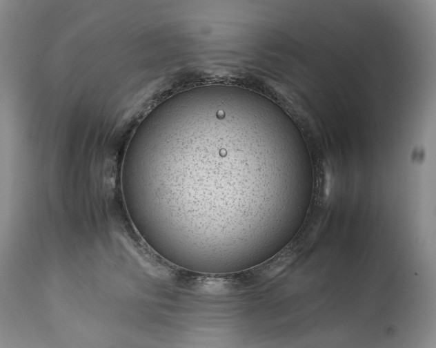 X0000113560710200910021555