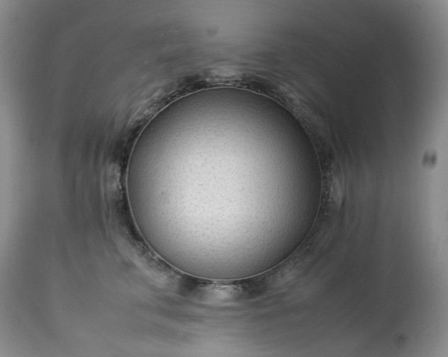 X0000113560711200910021555