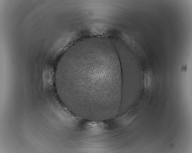 X0000113560712200910021555