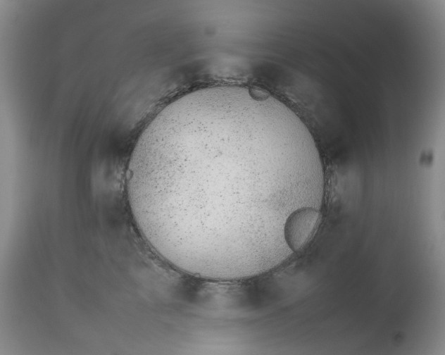 X0000113560713200910021555