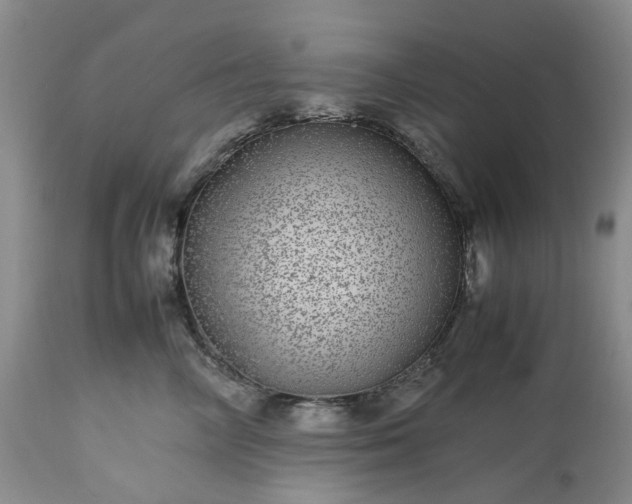 X0000113560714200910021555