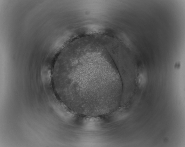 X0000113560716200910021554