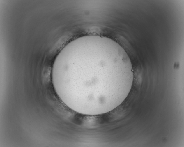X0000113560717200910021554