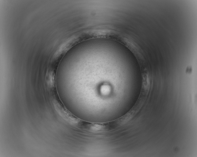 X0000113560718200910021554
