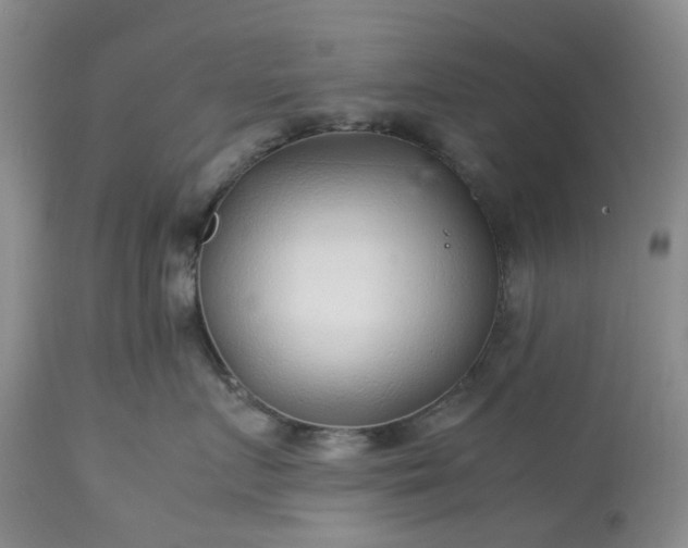 X0000113560719200910021554