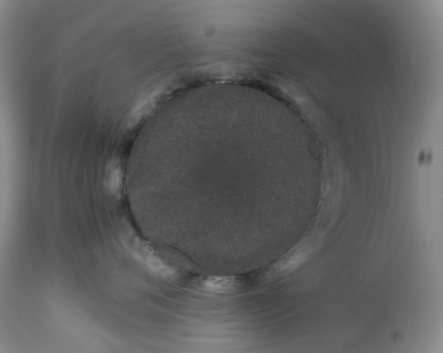 X0000113560720200910021554