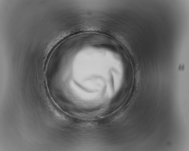 X0000113560721200910021554