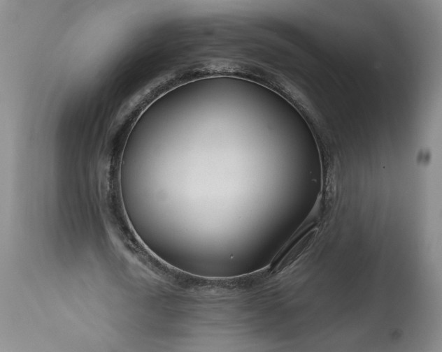 X0000113560722200910021554