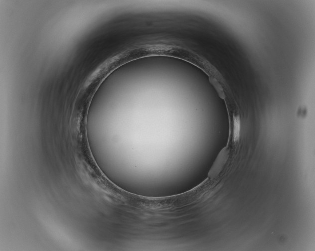 X0000113560723200910021554