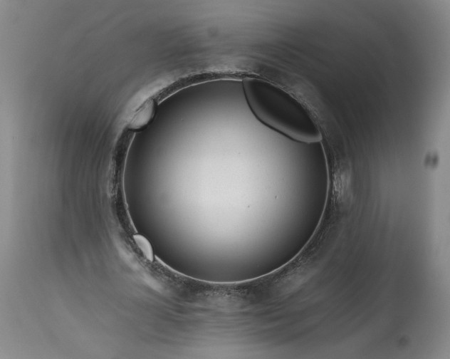 X0000113560724200910021554