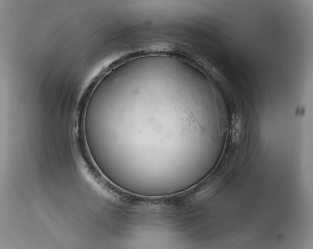 X0000113560726200910021554