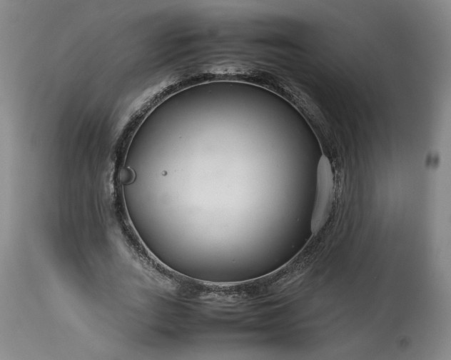 X0000113560727200910021554